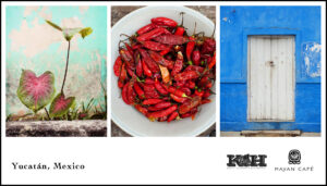Colors of the Yucatan