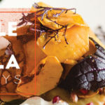 Tamale Tequila Header_WebsiteHomepage